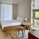 스테이 호자 이미지