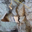 박진옥농장 이미지