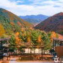 가리산자연휴양림 이미지