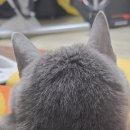 디앤써피부과의원 이미지