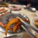 장난감세상 | 대신동 맛집 「돼신동」 탐방 후기