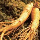 새미래한의원 이미지