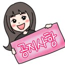 로덱스스킨