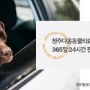 오창동물병원 이미지