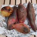 금광관광농원 이미지