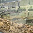 비케이팜 이미지