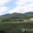 대촌1리 이미지