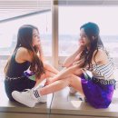 플틴 Daum카페