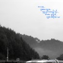 피트랜드