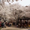 평택대 앞 이미지