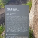 해조문 이미지