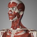 열우물로 이미지