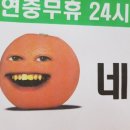 홀릭식당