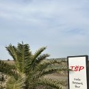 제주 남쪽 카페 티에스피(TSP)에 다녀오다 ! (돌고래 스팟, 신도포구)