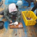 미리네 민박 이미지