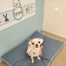 포도미용실 - 양평군 | 포도미용실