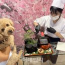 맞춤형코스 이미지