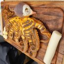 대박통 | 대박통 수유직영점 솔직후기 : 문어구이,닭발 제대로 먹고 온날