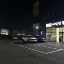 메밀밭도야지 이미지