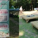수지침(야간) 이미지