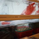 해물왕가 이미지