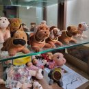 이도테크 이미지