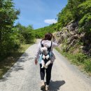 평원농장 | 🐶🌾울산 간월재 사슴농장코스 애견동반 등산 후기｜초보도 가능한 억새평원 힐링코스 조금