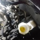 오토오아시스청주영운점 이미지