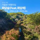 남희사 | 화담숲 단풍절정시기 2025 실시간 화담채 10월 말 후기