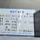 우라차차김서방