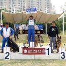 대구애견스쿨 | 칠곡 애견호텔 대구애견스쿨 비용 시간 위치