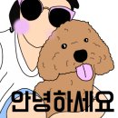마이애펫