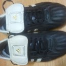 여주-0811 이미지