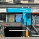 킨더펫(Kinder pet) | [킨더펫] Kinder pet