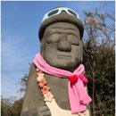 와룡가든 | 제주 동백꽃 명소 카멜리아힐 입장료 개화상태