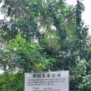 강변로2(서) Daum카페