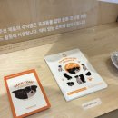 포인핸드 건강검진센터 이미지