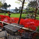 아베끄망펜션 이미지