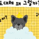 멈무살롱 네이버블로그