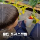 또또농장 | 서울 근교 딸기체험농장, 동물먹이체험까지 '용인 포레스트벨'