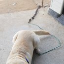 무양반려동물병원 이미지