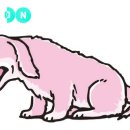 라온 반려 동물병원 이미지