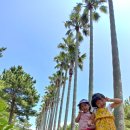 표선교회 이미지