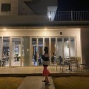 꽃바위약국 | [2020.04] 바깥은 여름