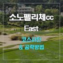 소노펠리체CC비발디파크이스트 티스토리