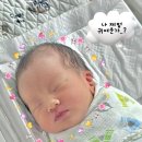 위대한탄생여성병원 | 출산일기2. 내가 보려고 만든 우리 아기 만난 기록(부산 위대한탄생 산후조리원)