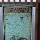신축호랑이사 이미지