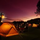 엠티브이11로 이미지