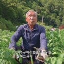 화천읍사무소 | [한국기행] 최고의 자연환경, 화천 비수구미에서 할매 손맛