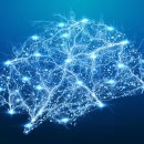 대전버드내초등학교 이미지